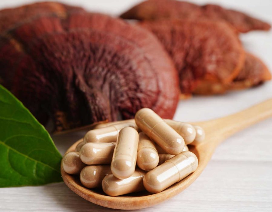 What-Are-Medicinal-Mushrooms- What-Are-Medicinal-Mushrooms-